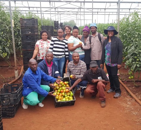 MCC Mandelaville Crisis Centre